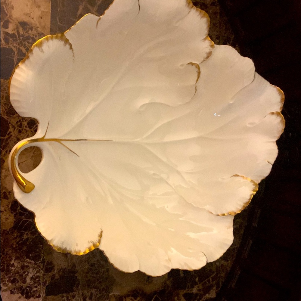 Mikasa Ivory bone China Larry Laso design Japan